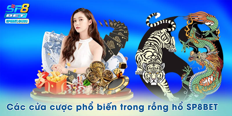 Các cửa cược phổ biến trong rồng hổ SP8BET