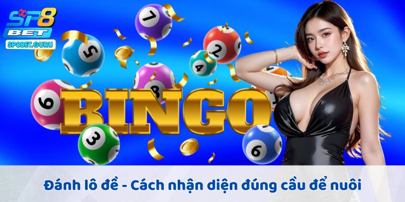 Đánh lô đề - Cách nhận diện đúng cầu để nuôi