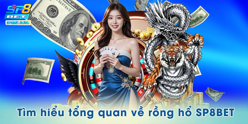 Tìm hiểu tổng quan về rồng hổ SP8BET