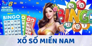 Trúng Lớn Xổ Số Miền Nam - Bí Quyết Bắt Số Vàng Hôm Nay