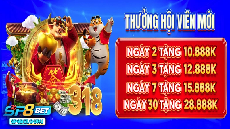 SP8BET mang tới nhiều ưu đãi hấp dẫn