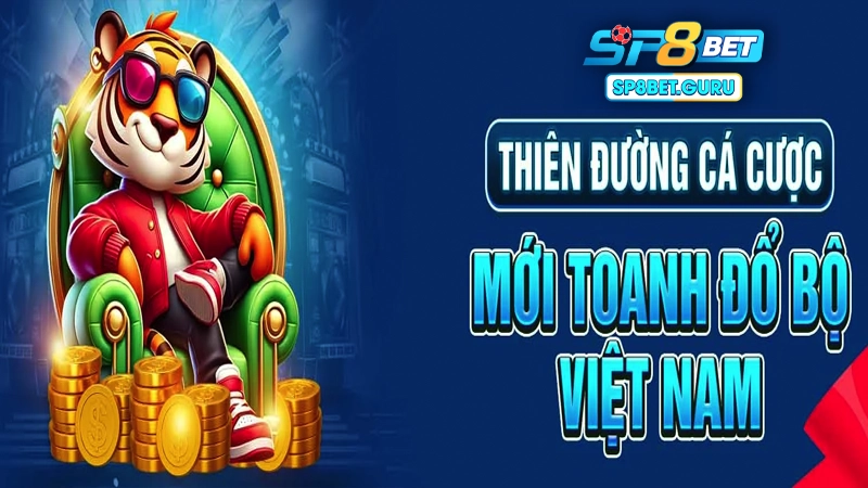 SP8bet phù hợp với mọi người chơi